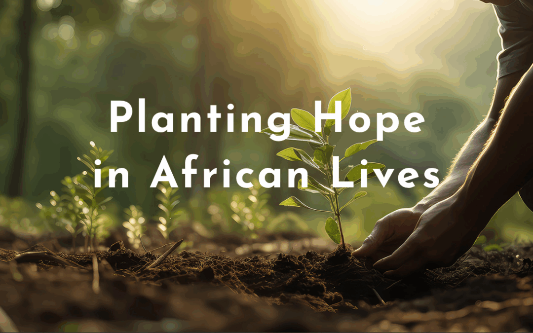 Plentiful Garden website